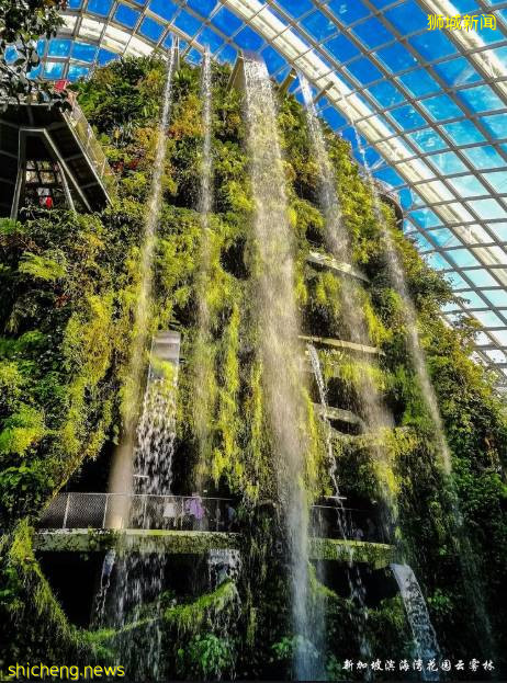 新加坡 探索精彩奇妙之处