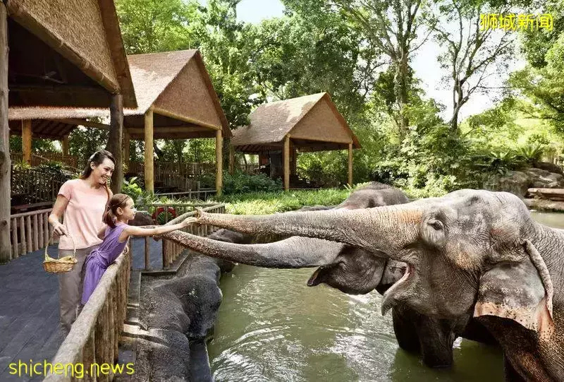 六一去哪儿玩,盘点新加坡亲子游景点攻略