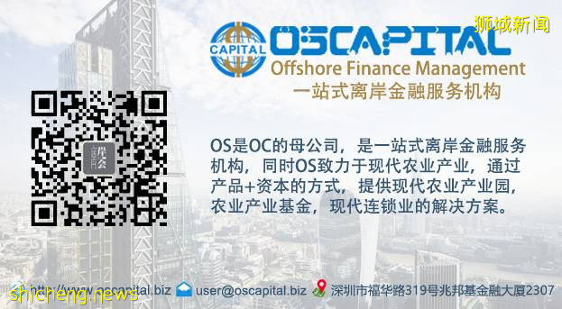 如何辦理新加坡公司注銷