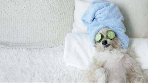 Staycation？这四家最近都有优惠的酒店应该是最最最适合了吧