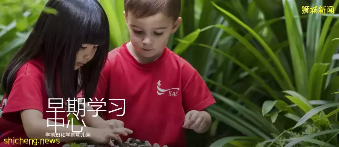 新加坡頂尖國際學校——美國國際學校,內附(申請條件、學費、學制)