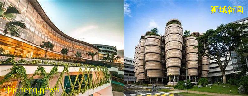 新加坡藝術留學，學費自己只用出一半