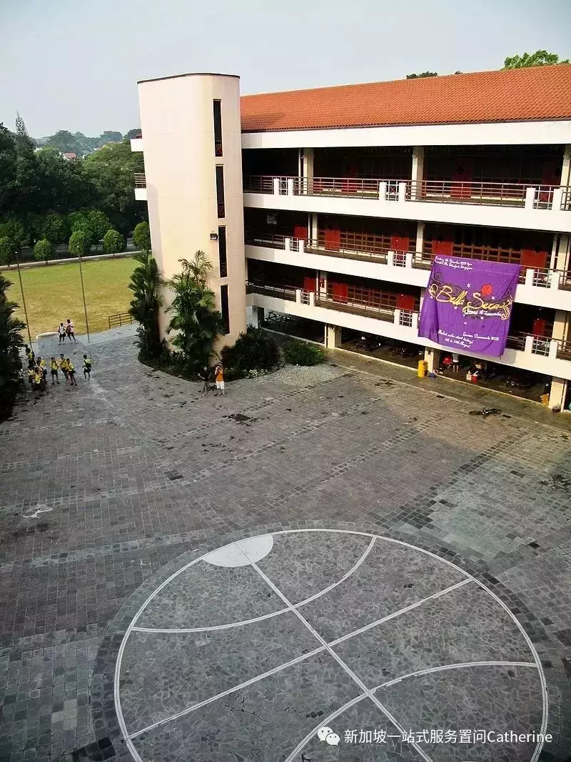 初級學院線上開放日來襲O水准之後怎樣報讀?最全介紹看過來