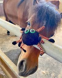 超罕见迷你矮脚马闪现ION!软萌可爱助力公益活动,赶紧来与小马合影打卡吧