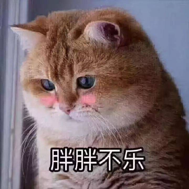 用健康低卡的轻食沙拉，开启在狮城清爽的新一周吧