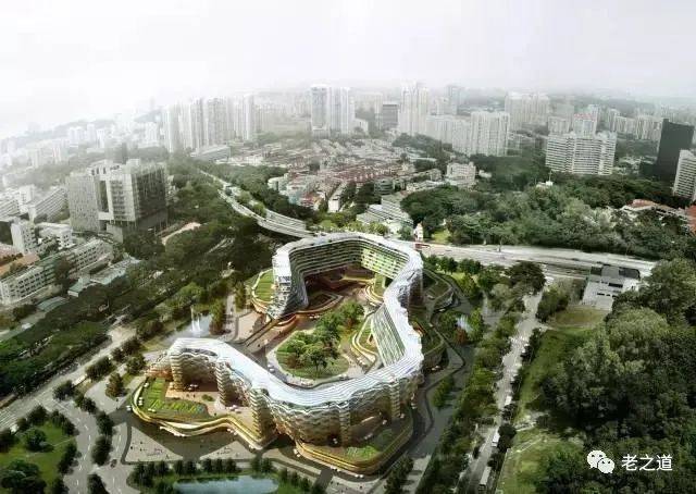 新加坡家庭养老模式的启示