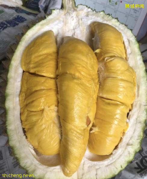 新加坡榴梿全攻略！實拍挑戰芥末和燒烤榴梿！太刺激了