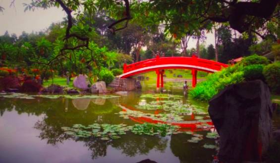 玩在獅城 周末一起去大自然裏野餐——新加坡最適合野餐的十大自然公園