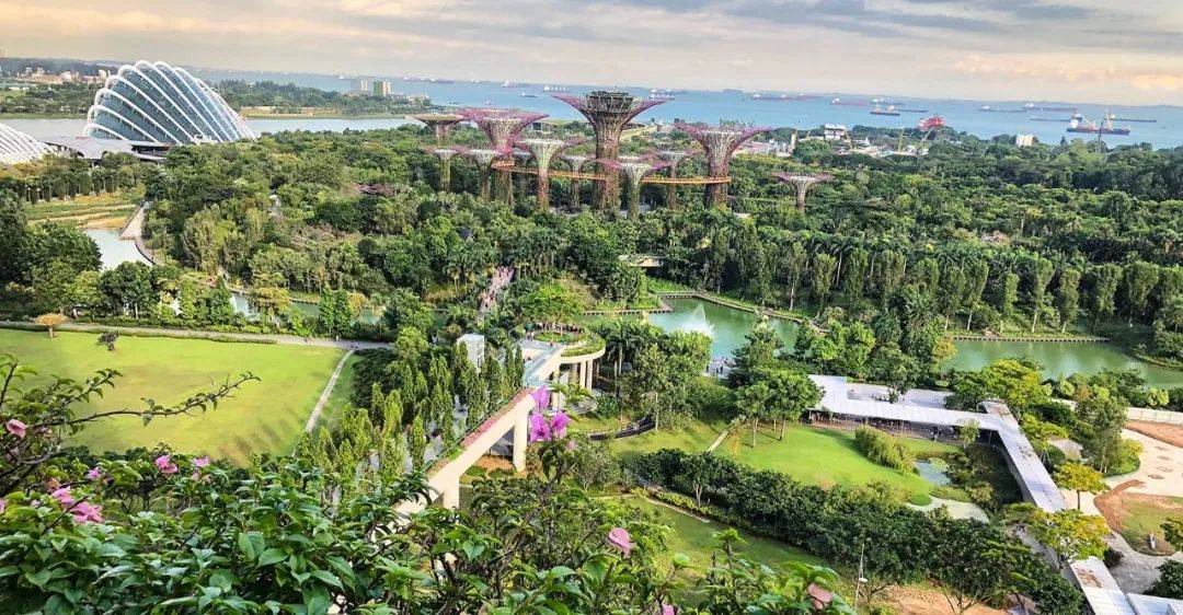 中國的互聯網人，爲什麽要去新加坡工作