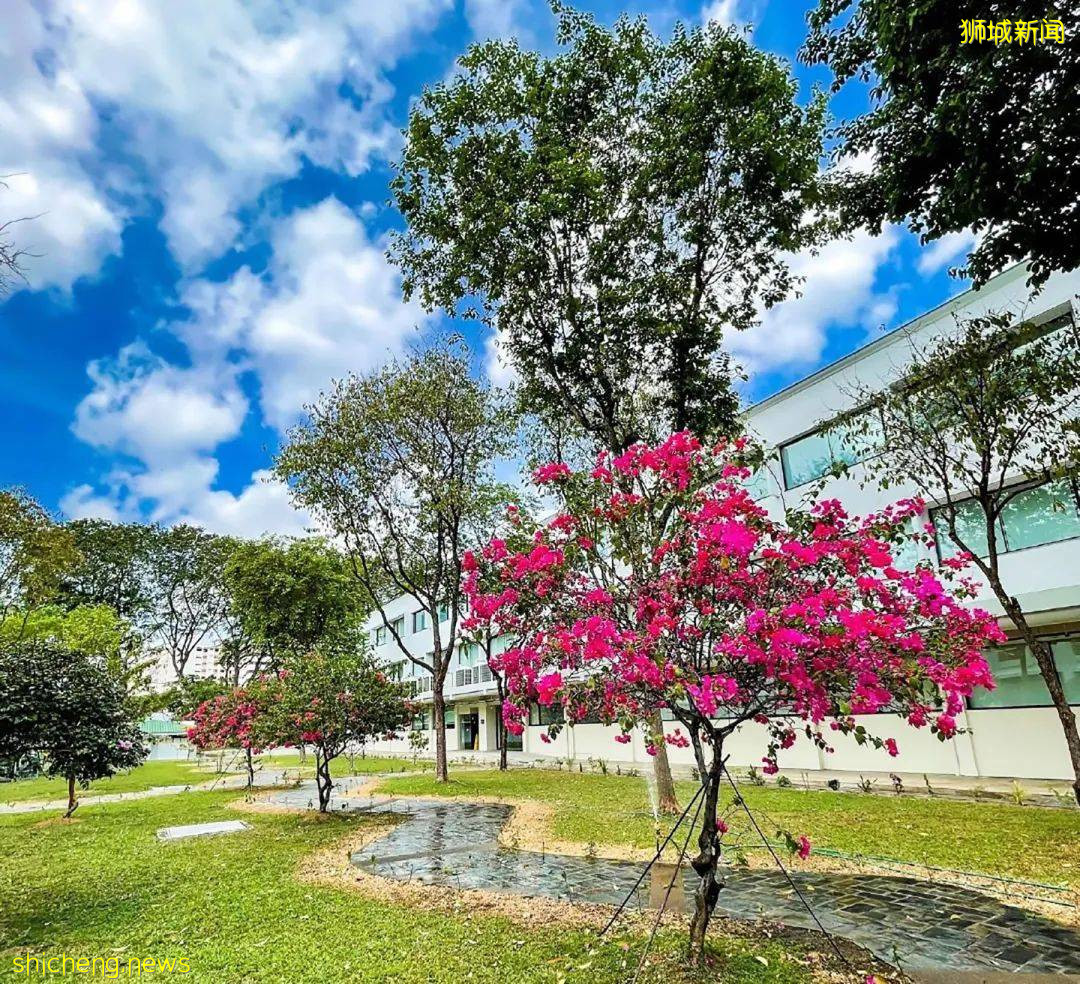 【新加坡留學】詹姆斯庫克大學新加坡校區(JCU)招生簡章