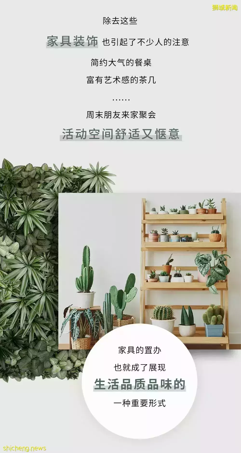 设计师实木家私，是如何提升你在新加坡的居家生活品质的