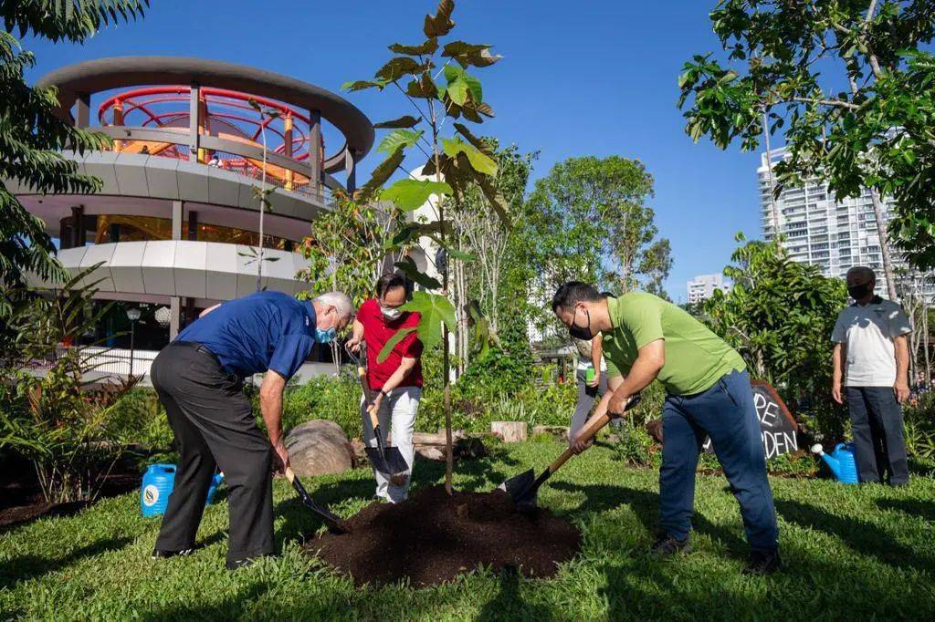 東海岸Big Splash水上樂園關閉四年,搖身一變成爲全新海岸樂園Coastal PlayGrove