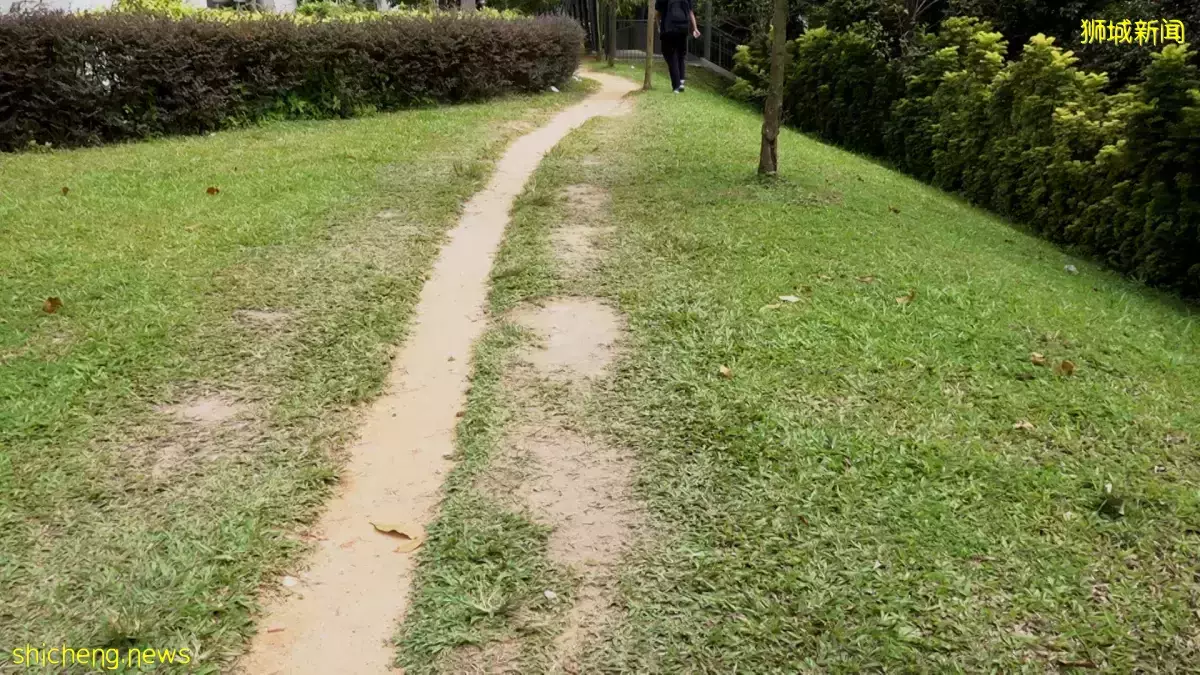 泥沙小徑雨天易“泥石流” 市鎮會將修建人行道