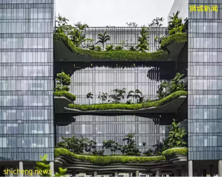 德勤调查：高达13.1％ 新加坡企业女总裁 比率全球居冠