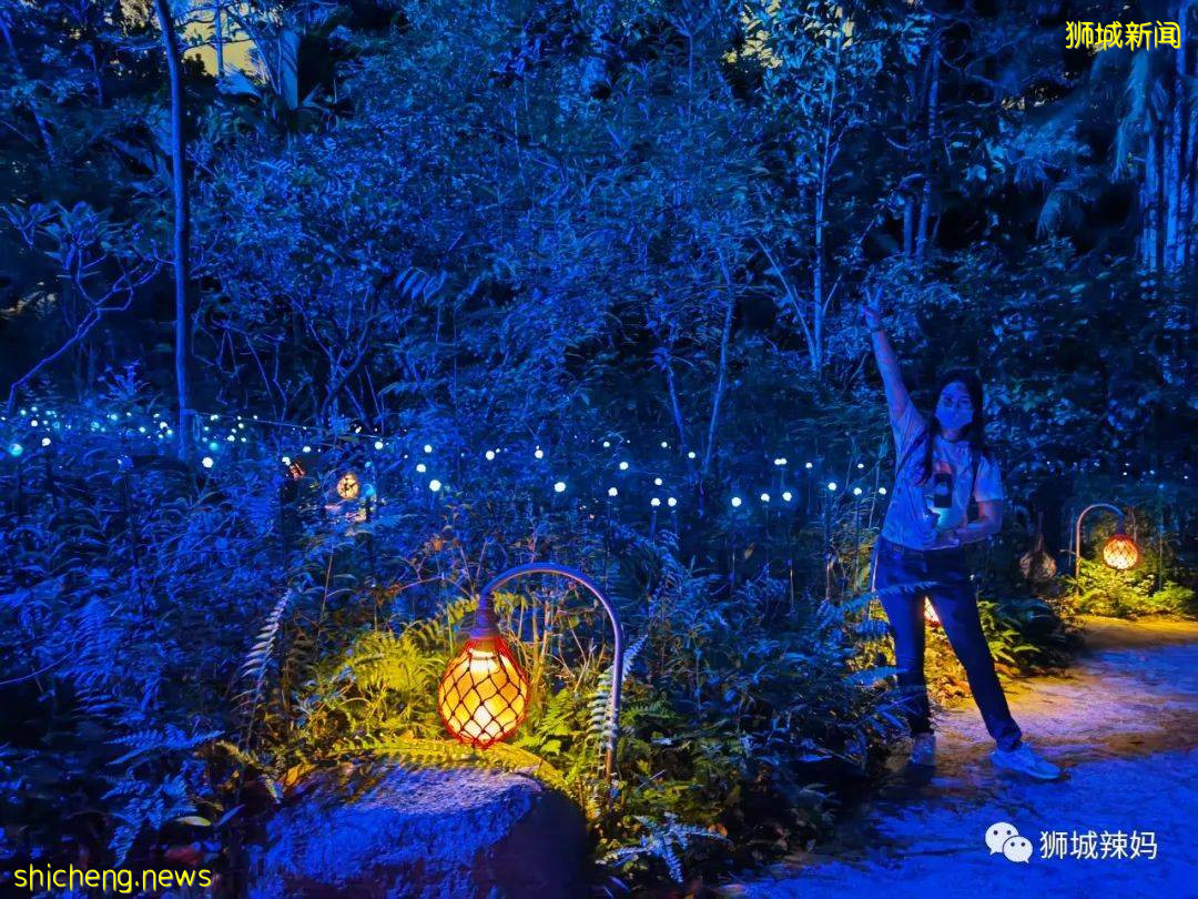 低至S$8！就3天！新加坡動物園“幻光雨林之夜”強勢回歸，亞洲第一夜遊體驗