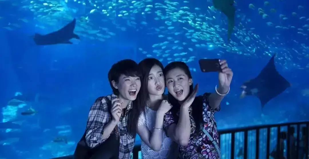 僅今天!新加坡聖淘沙超多景點買1送1!附送玩法指南