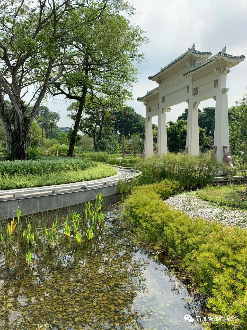 那一年，你逛过的新加坡大学们