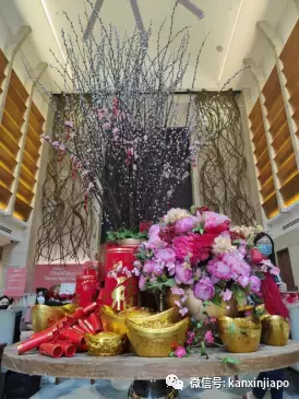 新加坡春节不出门，到这儿就是“出国”啦