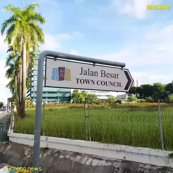 “在新加坡组屋走廊喷了两下杀虫剂,我发现百余只蟑螂尸体!”