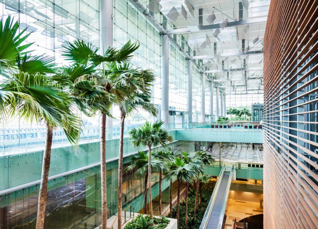 新加坡急缺人,現在移民機會最佳