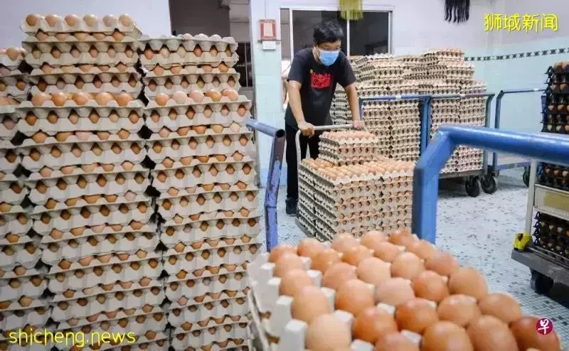 马来西亚渔产锐减!新加坡生鲜供应再次面临挑战