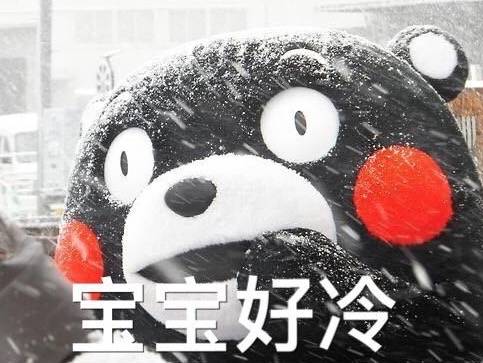 2020年,新加坡发生的11个奇葩小事儿