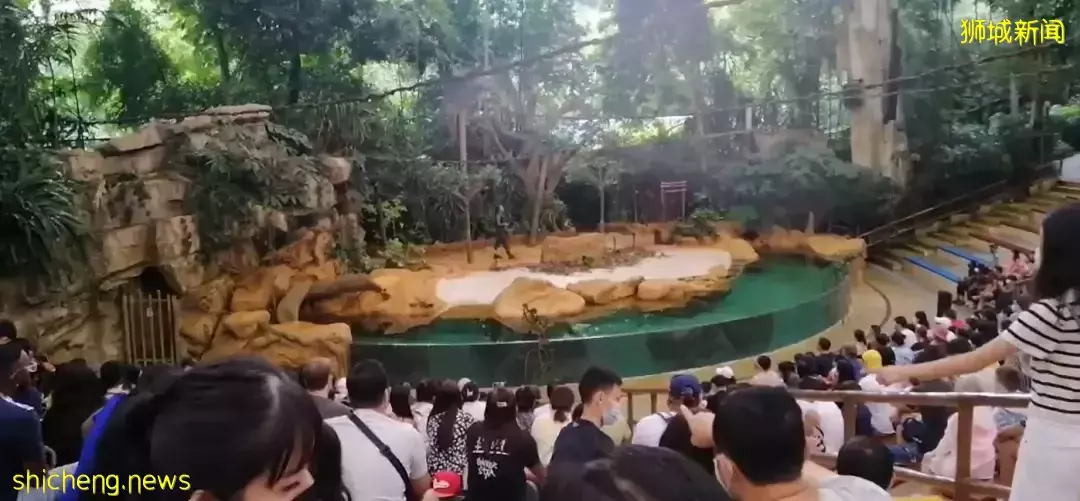 實拍!新加坡長周末人擠爆!在泰國、馬來西亞遭搶劫、被偷!網傳中國十一將開放出境遊