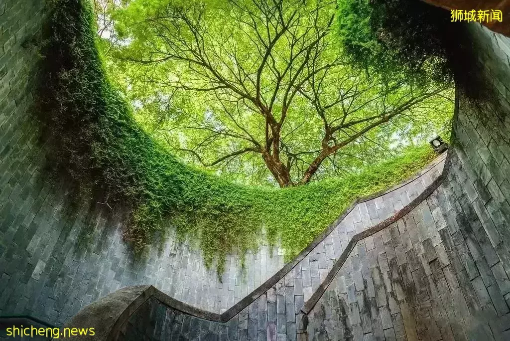 樂居新加坡 IRWELL HILL RESIDENCES 烏節路稀缺地段 市中心的花園建築 年度優質房盤