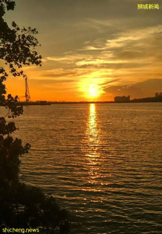 當騎行遇上新加坡,體驗獅城的無限魅力