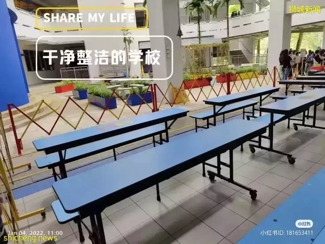 政府小学老师告诉你:新加坡名校和邻里小学到底有没有天差地别