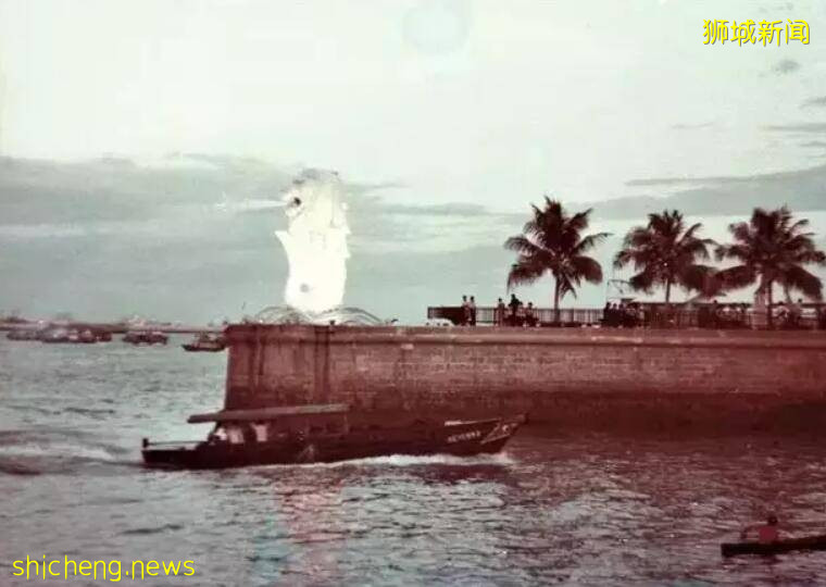 新加坡紅樹林區現“牛奶河”,疑似賤人偷倒化學物