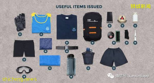 新加坡向军人们,致敬