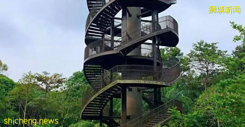 花香鸟鸣,绿荫环绕,新加坡十大生态徒步路线走起