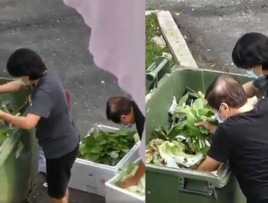 视频疯传！新加坡有人从垃圾桶里捡菜，网友：不是拿来做杂菜饭吧