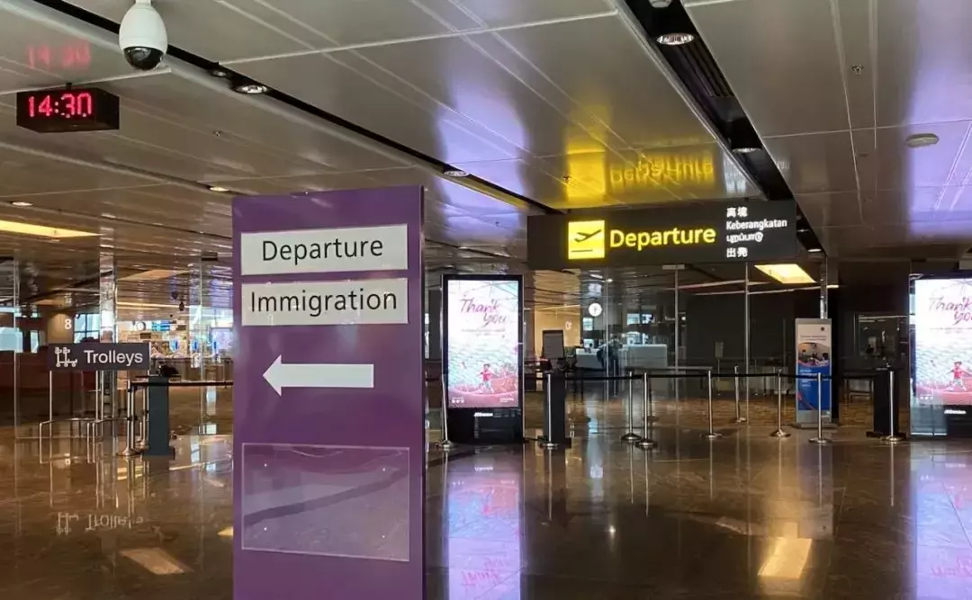 已经成为新加坡公民,疫情期间想回中国该如何申请