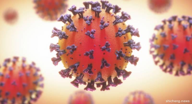 新增120例，新加坡开始建“方舱医院”，客工隔离区视频曝光