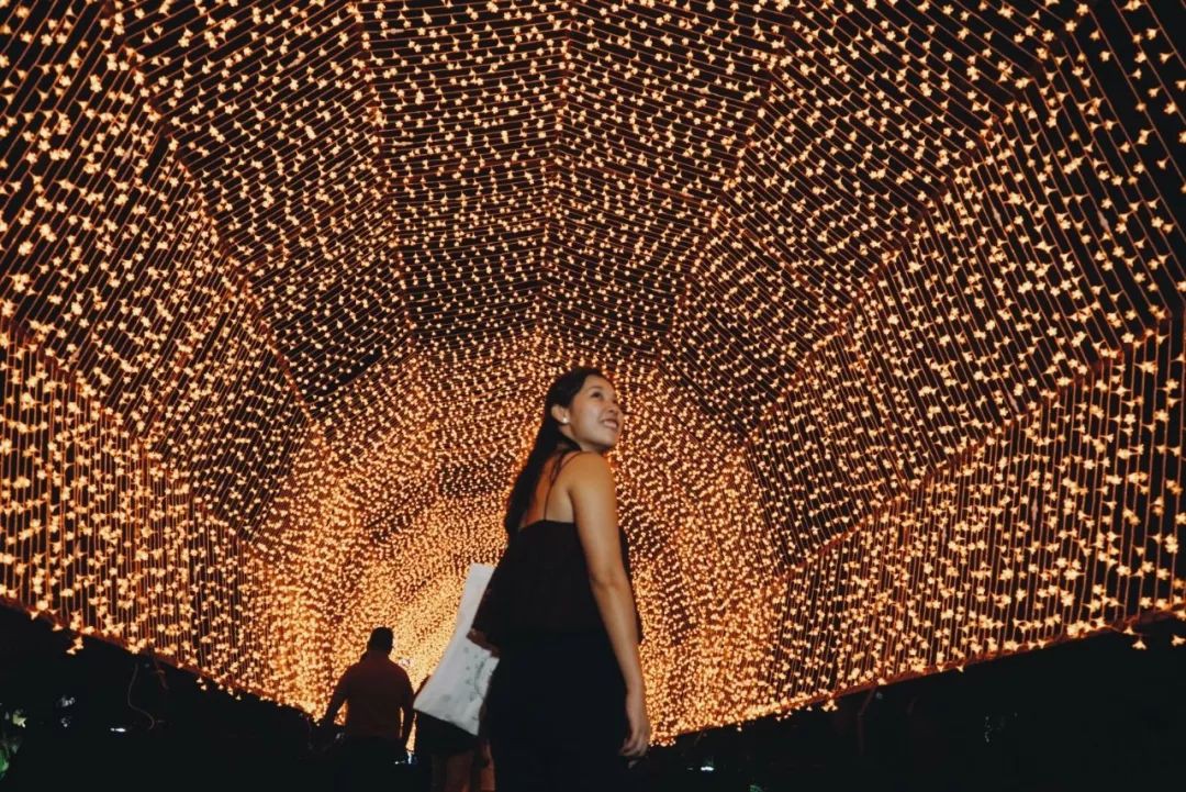 免费送票 | 新加坡一年一度圣诞仙境，错过悔一年！