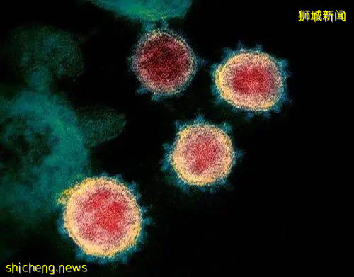 新闻快讯!高风险客工女佣禁入新加坡,Grabfood送餐员感染!建筑业严重缺人