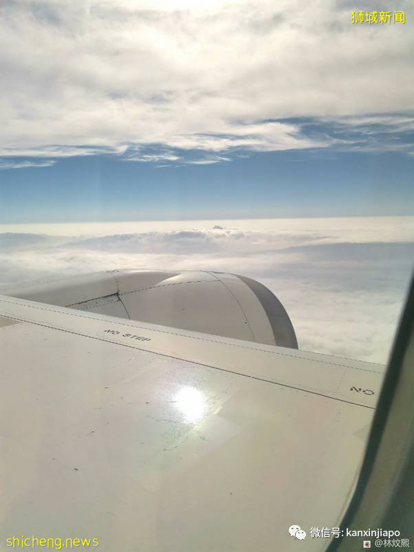 网友实录!新加坡飞南京机票已降至550新币