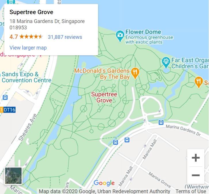 免费!赶紧来打卡滨海湾的梦幻蒲公英花园,感受超浪漫的日式风情!活动有效期至11月15日