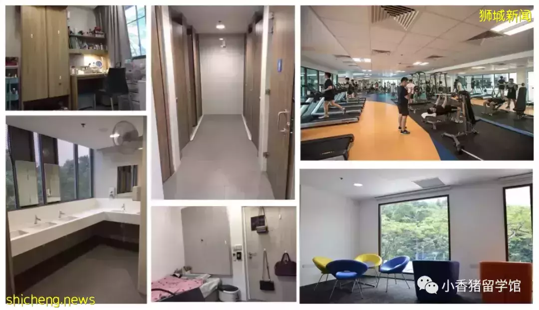 新加坡留學校內住宿：如何get限量版好房