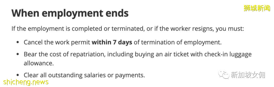 女傭偷錢、偷口紅、偷食物,我在新加坡該怎麽辦