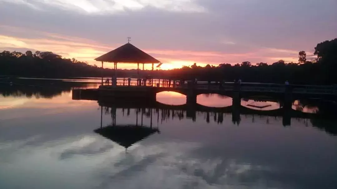 新加坡人深夜排队，翻新一年多的网红景点又开了