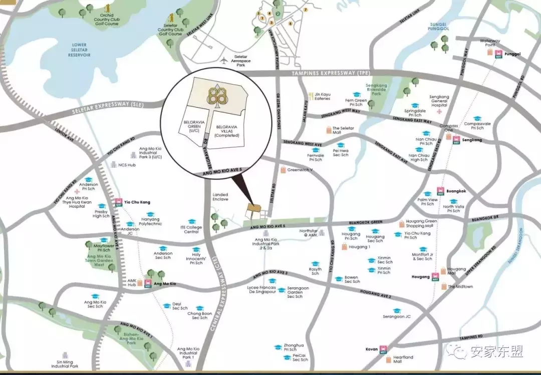 Belgravia Ace最後一個周末看房，已經上百張支票，可能開盤賣掉九成，不提前交支票就可能沒機會了，最後一個別墅大盤