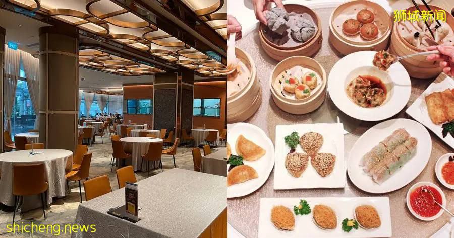 【周末去哪】蹦床免費玩！5.5折動物園門票、$1飛禽公園、中秋燈展，夜間滑道