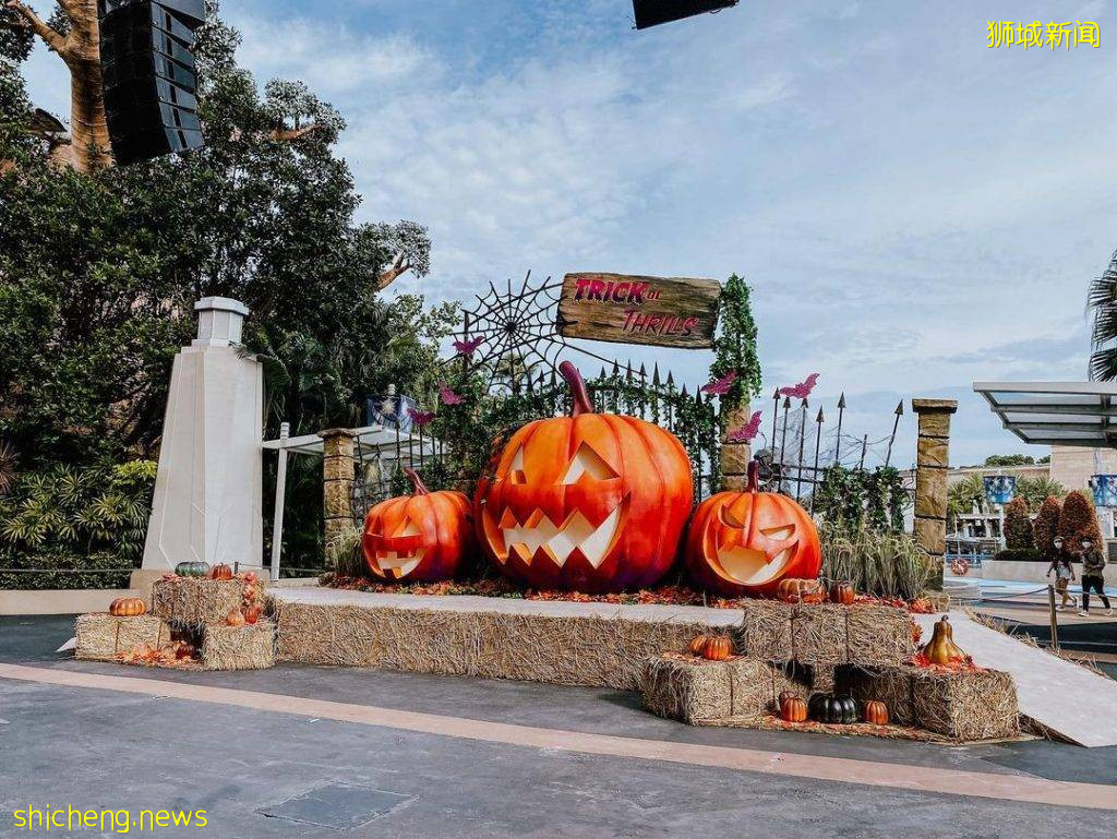 新加坡環球影城萬聖節2021攻略💥驚魂夜展覽+不給糖就搗蛋+服裝大賽👻越夜越恐怖，有膽你就來