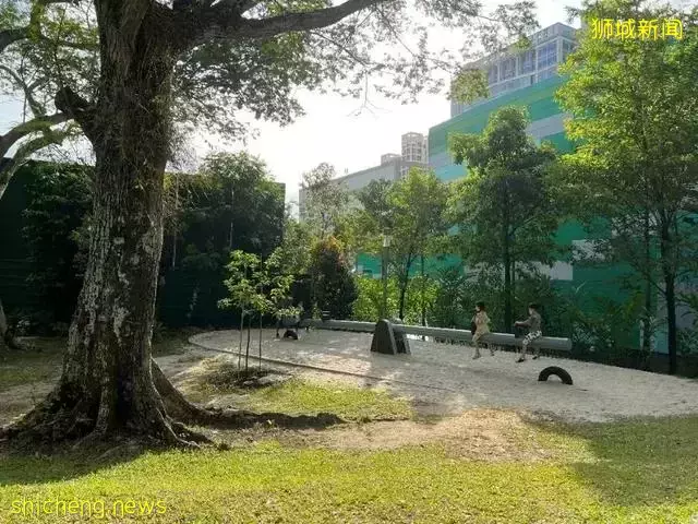 告別“塑料遊樂場”，看新加坡的公園如何诠釋“高大上”