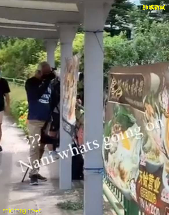 手持長槍短炮、無視安全距離，新加坡這群“瘋子”爲誰發瘋？命都不要了