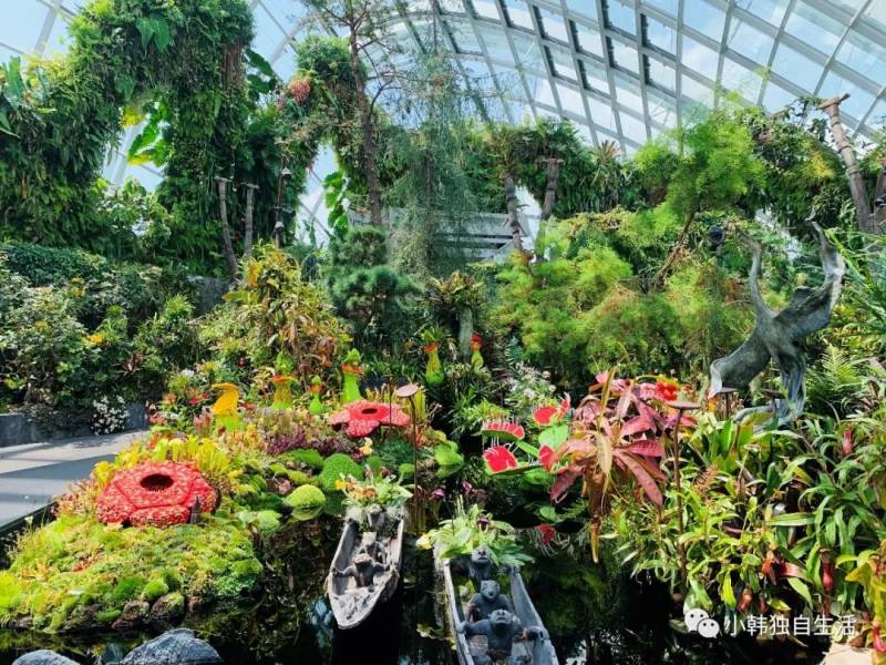 新加坡 從“哈芝巷”步行到“小印度”