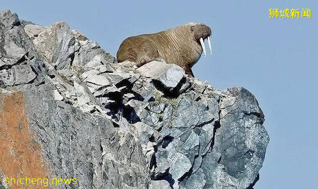 全球確診破700萬!2020,見證曆史的一年!